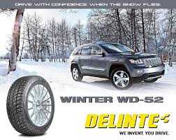 Delinte Winter WD52 (3)